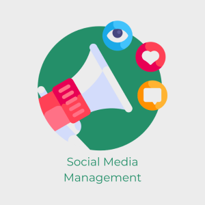 Social Media Management (Управление на социални мрежи) 