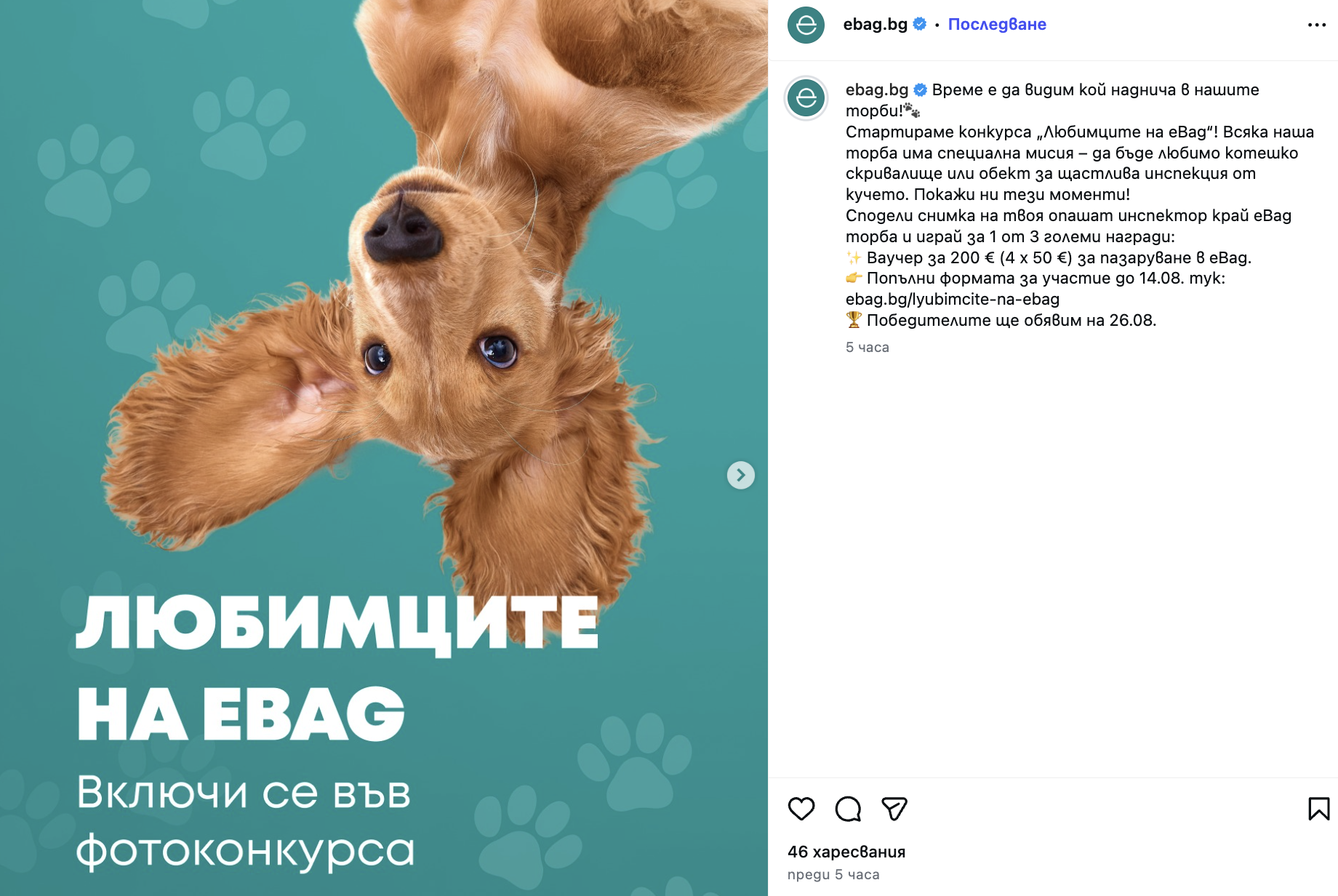 Провеждане на конкурси в Instagram
